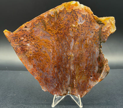 Bull Canyon Tube/Moss Agate (Unpolished)