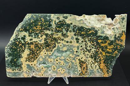 1st Vein Ocean Jasper (Unpolished)