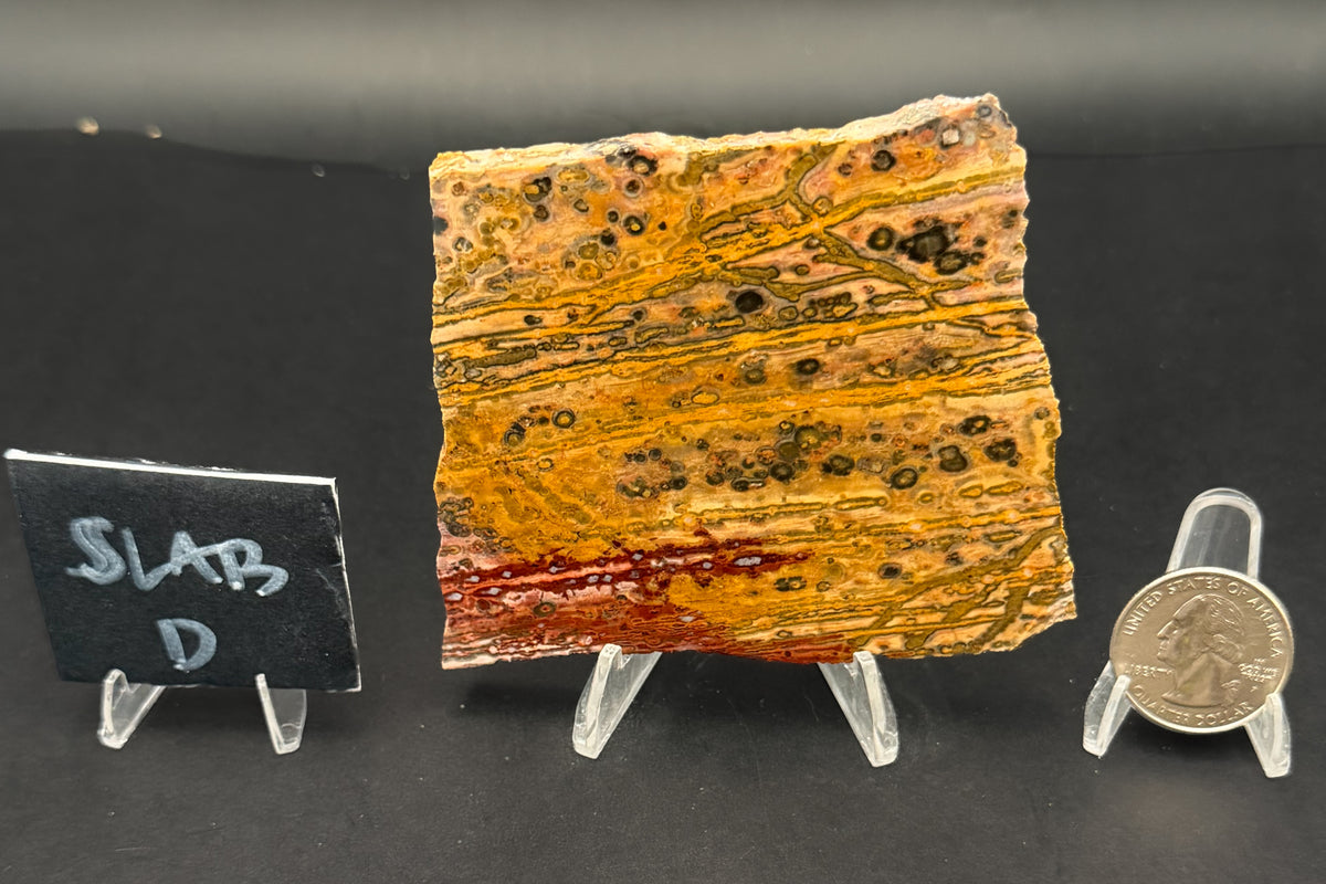 Leopard Skin Rhyolite (Unpolished)