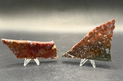 Maury Mountain Moss Agate (Unpolished) Slabs
