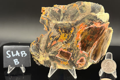 Turkish Petrified Wood (Unpolished)