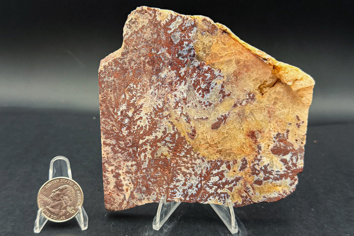 Paul Bunyan Agate (Unpolished)
