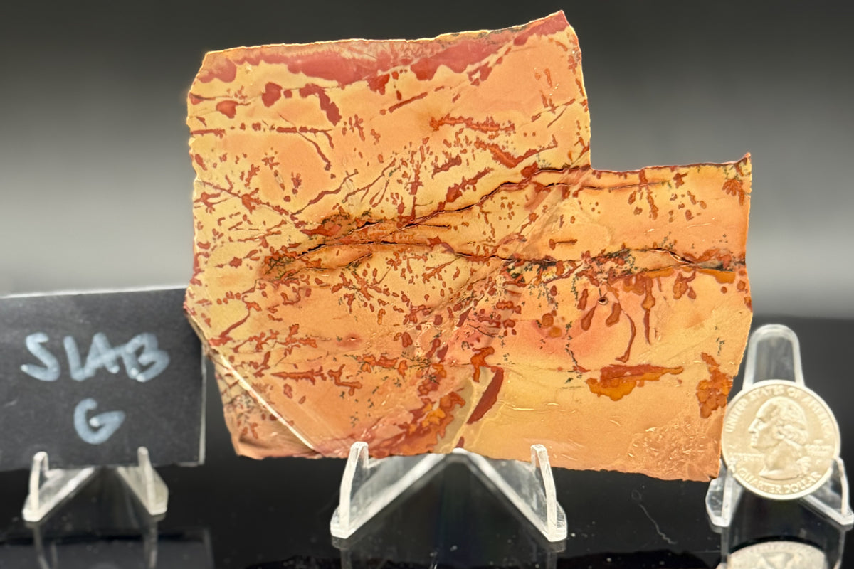 Owyhee Jasper (Unpolished)