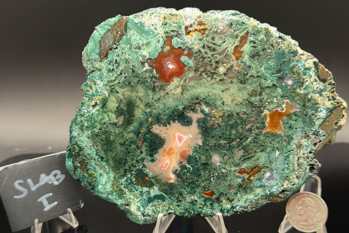 Turkish Limbcast with Agatized Chrysocolla (Unpolished)