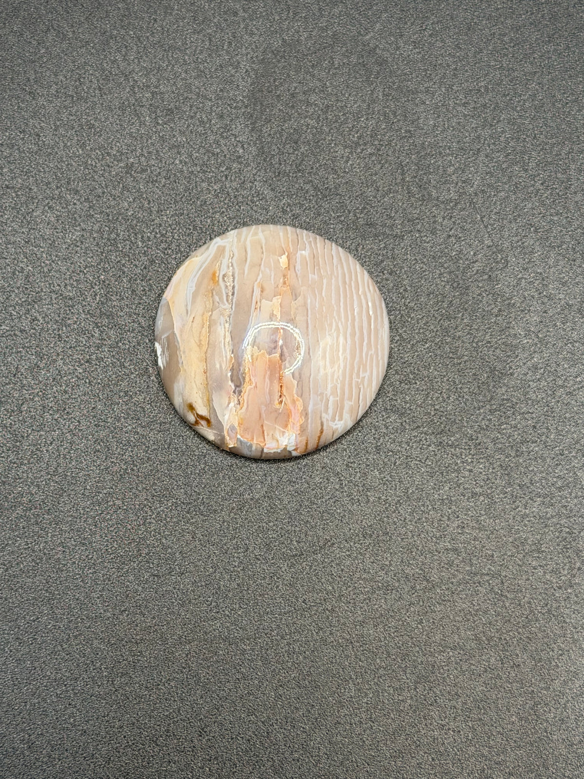 Baskinite Jasper (Dead Camel Region) Cabochon