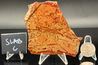 Owyhee Jasper (Unpolished)