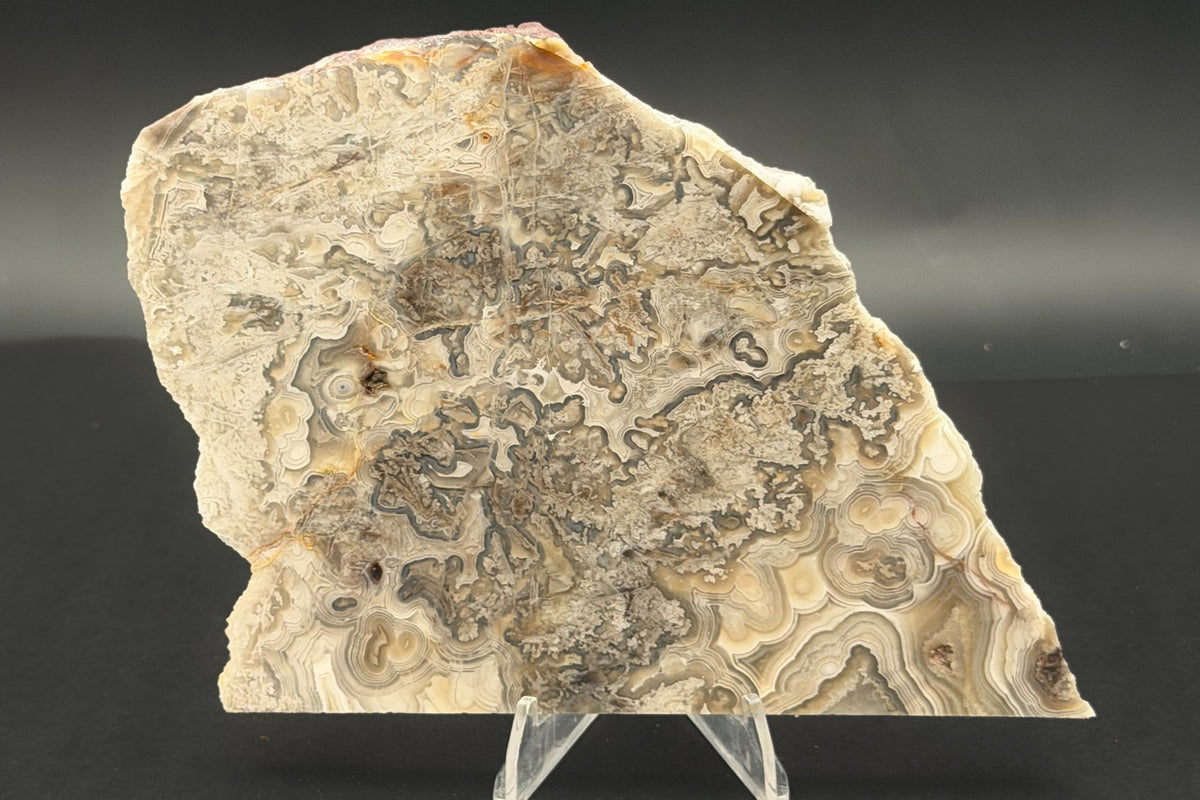 Candle Lace Agate (Unpolished)