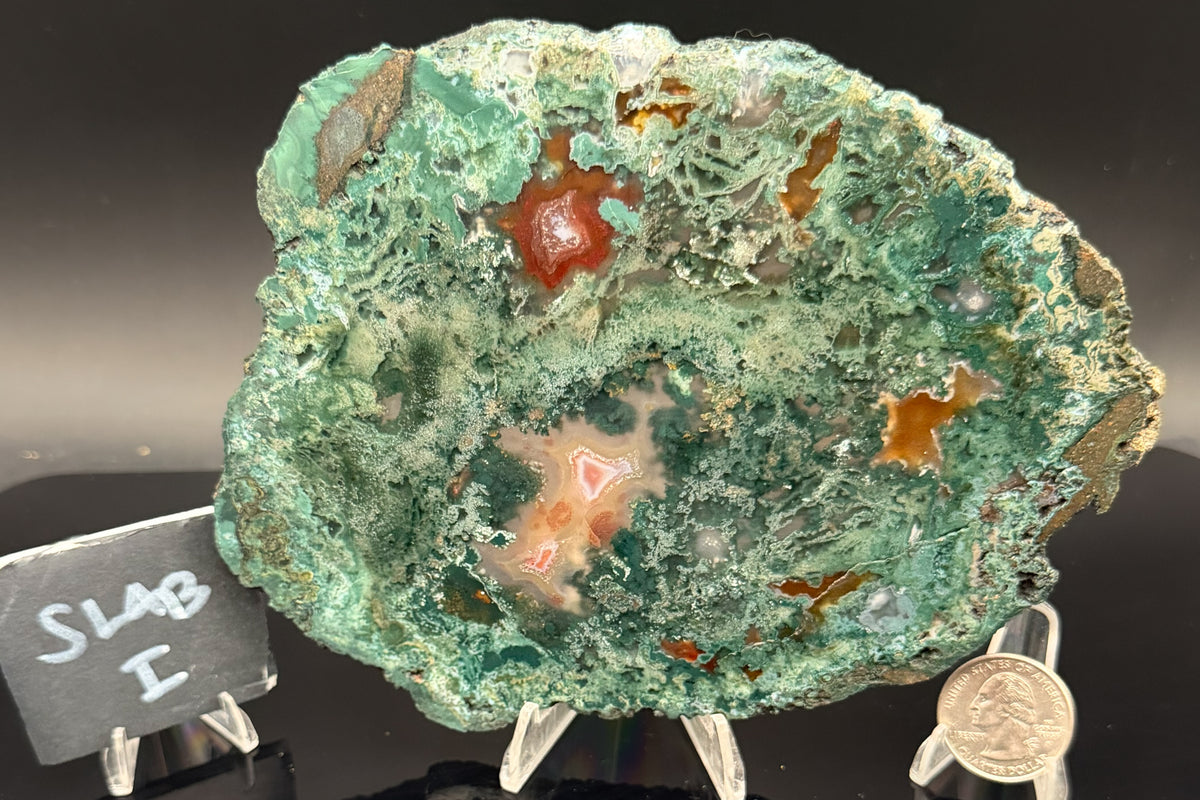 Turkish Limbcast with Agatized Chrysocolla (Unpolished)
