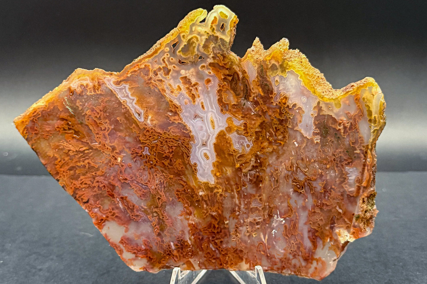 Bull Canyon Tube/Moss Agate (Unpolished)