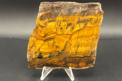 Tiger Eye (Unpolished)