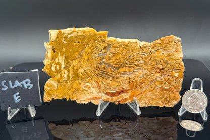 Howardite Jasper