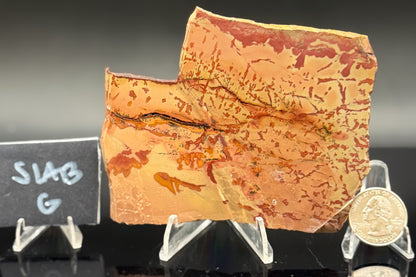 Owyhee Jasper (Unpolished)