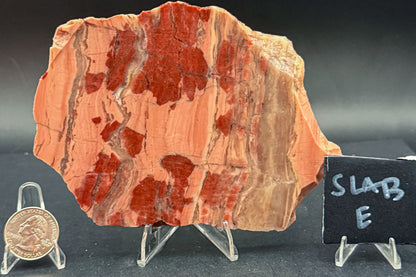 Unpolished Kona Dolomite