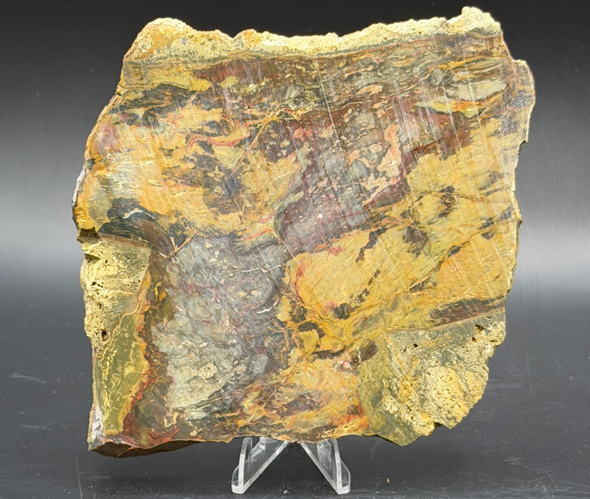 Morrisonite Jasper slab (Unpolished)