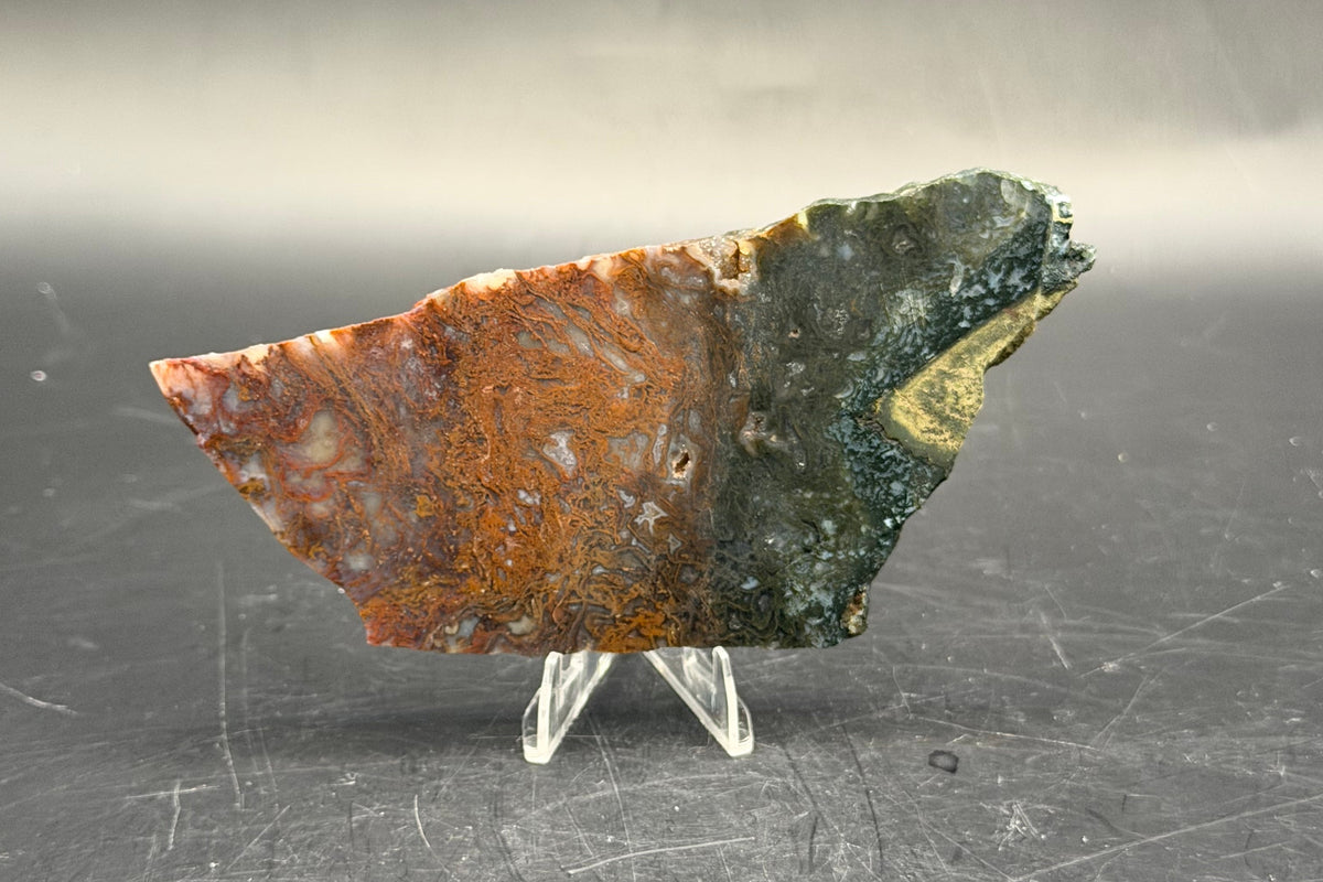 Maury Mountain Moss Agate (Unpolished) Slabs