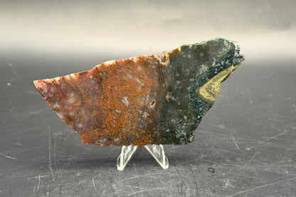 Maury Mountain Moss Agate (Unpolished) Slabs