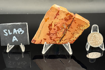 Owyhee Jasper (Unpolished)