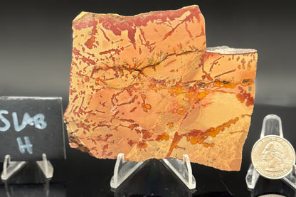 Owyhee Jasper (Unpolished)
