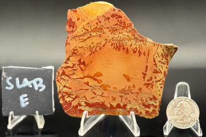 Owyhee Jasper (Unpolished)