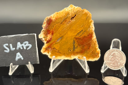 Indonesian Moss Agate (Unpolished)