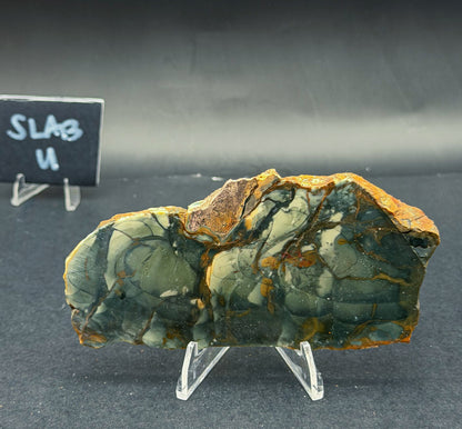 Morrisonite Jasper slab (Unpolished)