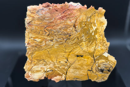 Howardite Jasper