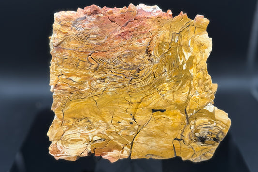 Howardite Jasper (Unpolished)