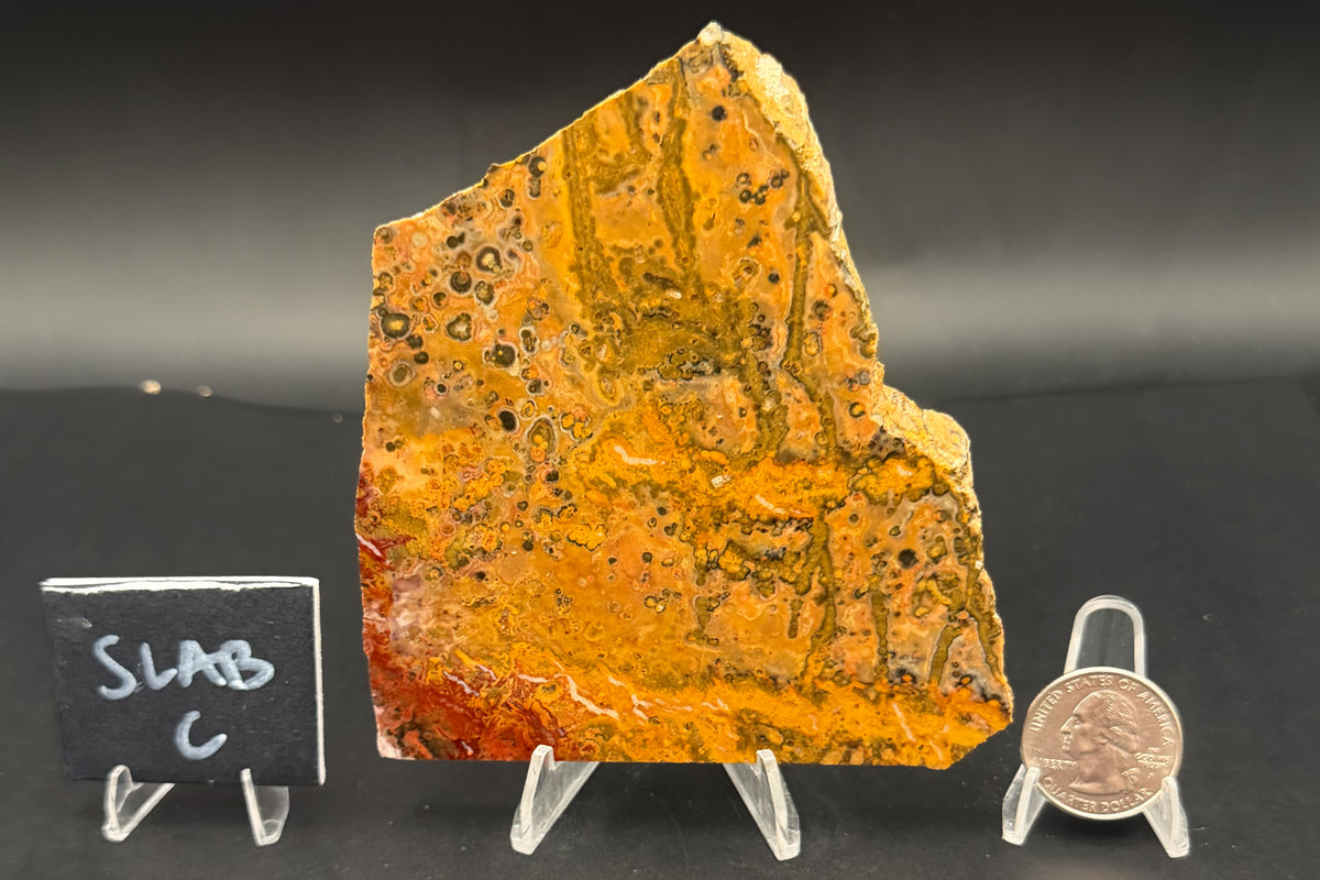 Leopard Skin Rhyolite (Unpolished)