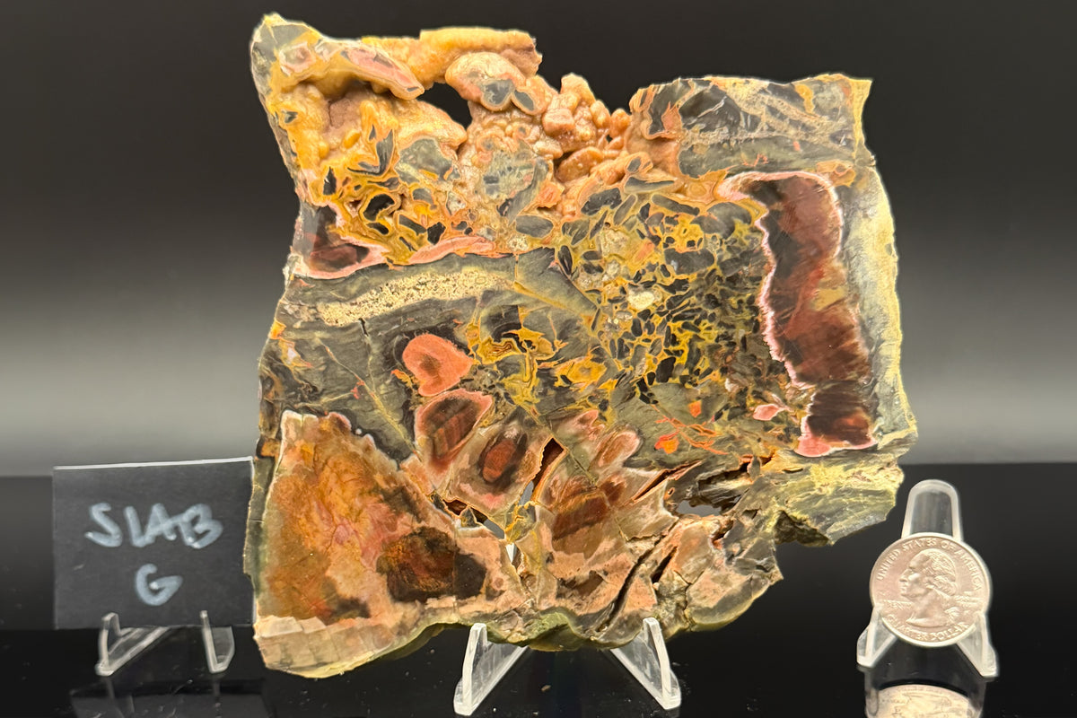 Turkish Petrified Wood (Unpolished)