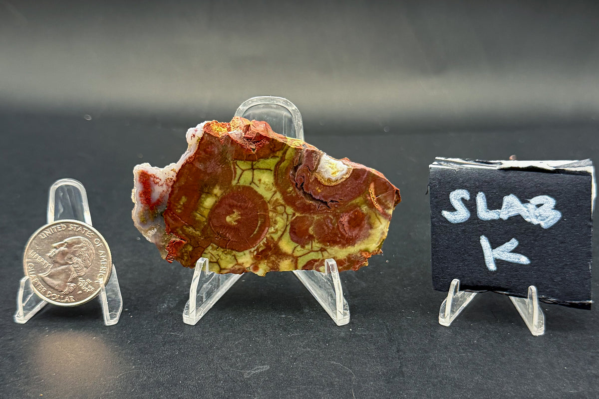 Spiderweb Jasper (Unpolished)