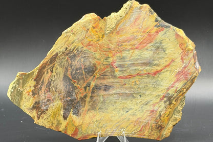 Morrisonite Jasper slab (Unpolished)