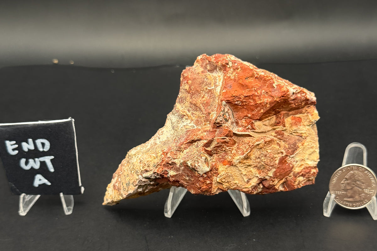 Leopard Skin Rhyolite (Unpolished)