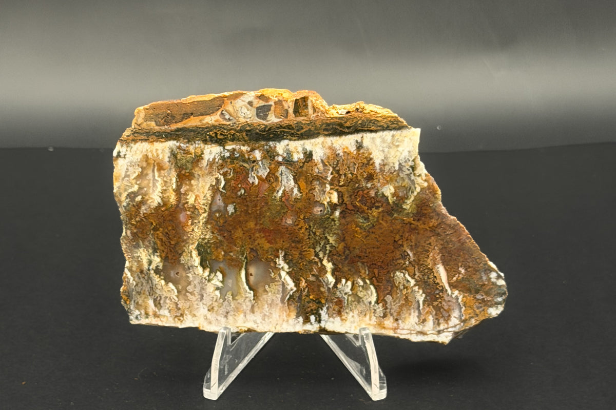 Linda Marie Plume Agate (Unpolished)