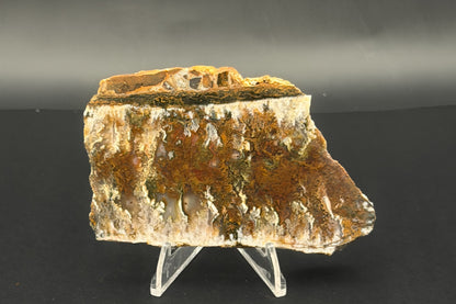 Linda Marie Plume Agate (Unpolished)