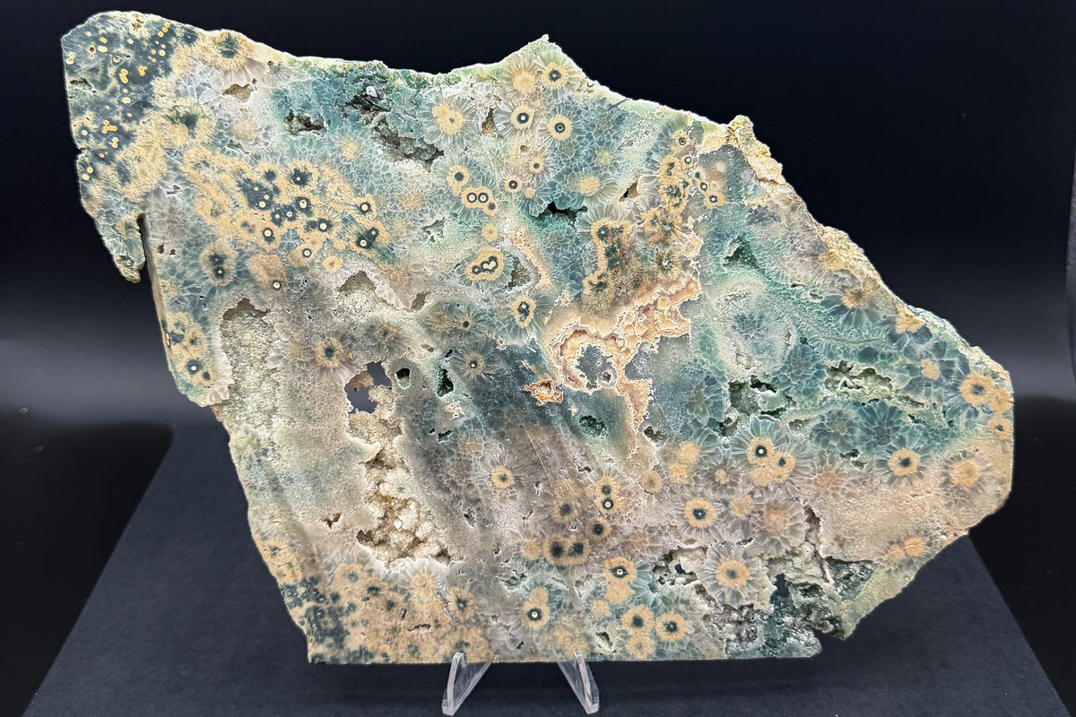 1st Vein Ocean Jasper (Unpolished)