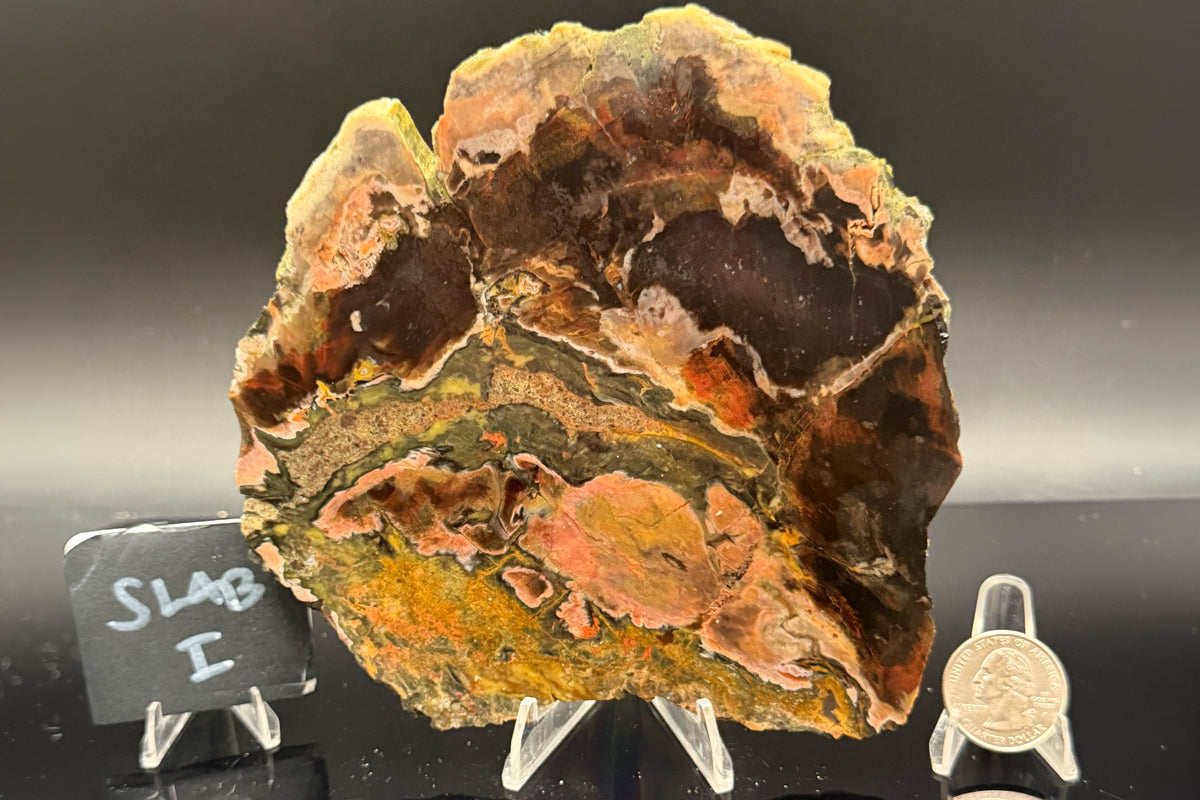 Turkish Petrified Wood (Unpolished)