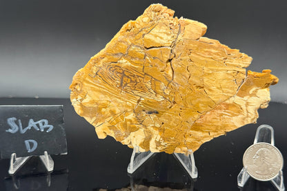 Howardite Jasper