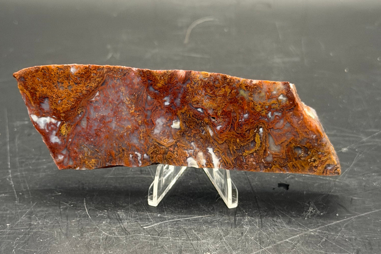 Maury Mountain Moss Agate (Unpolished) Slabs