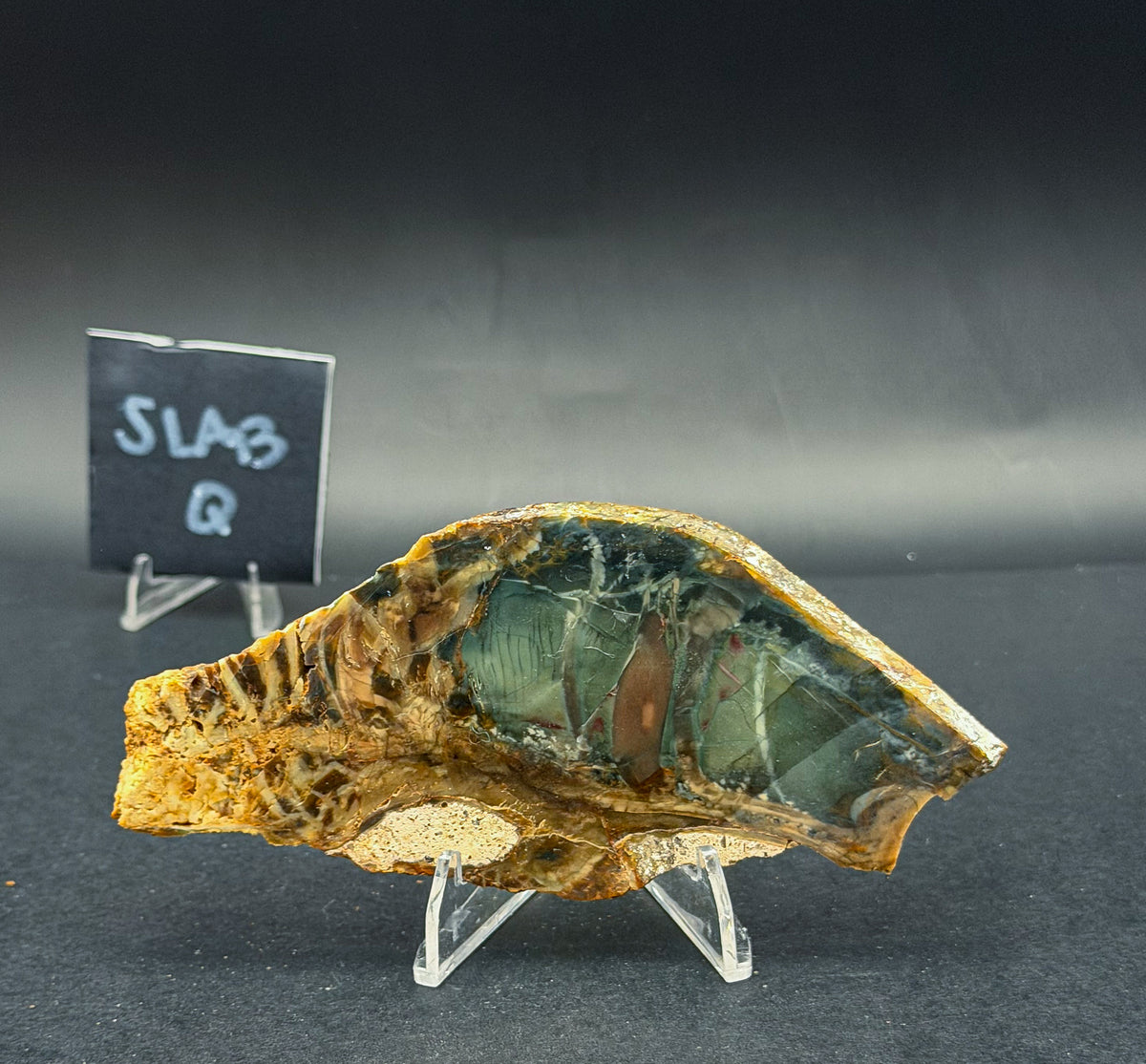 Morrisonite Jasper slab (Unpolished)