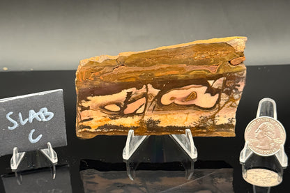 Outback Jasper (Unpolished)