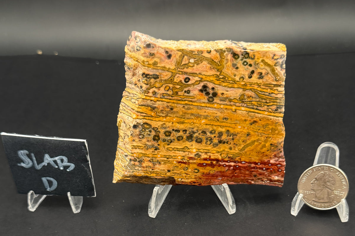Leopard Skin Rhyolite (Unpolished)