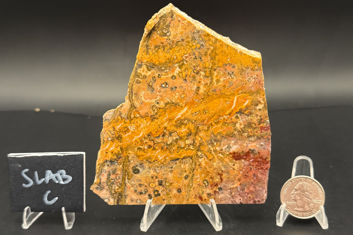 Leopard Skin Rhyolite (Unpolished)