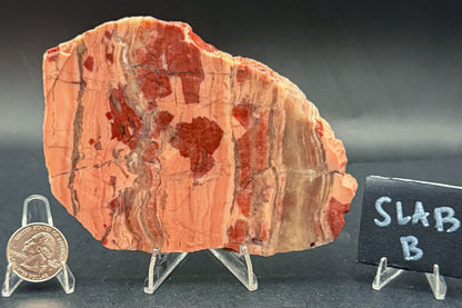 Unpolished Kona Dolomite