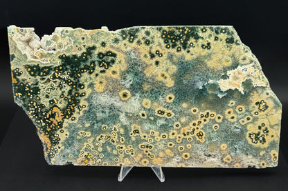 1st Vein Ocean Jasper (Unpolished)