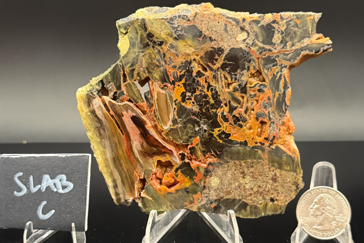 Turkish Petrified Wood (Unpolished)
