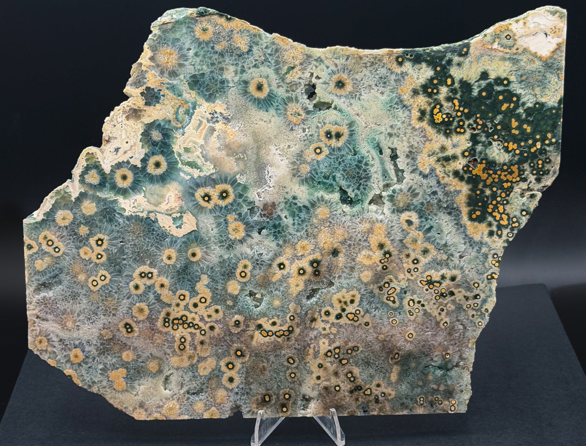 1st Vein Ocean Jasper (Unpolished)