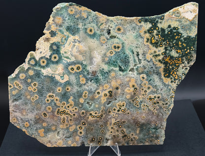 1st Vein Ocean Jasper (Unpolished)