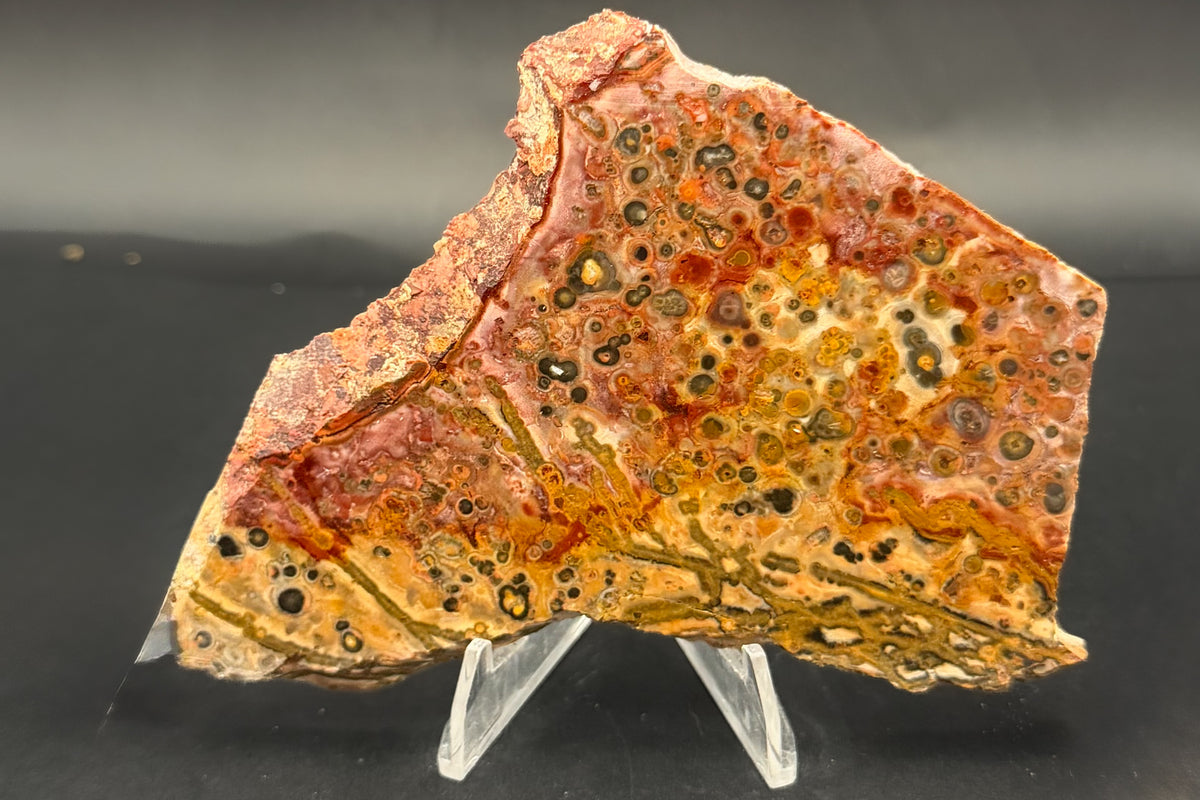 Leopard Skin Rhyolite (Unpolished)