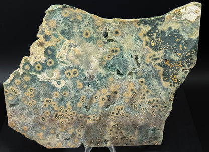1st Vein Ocean Jasper (Unpolished)