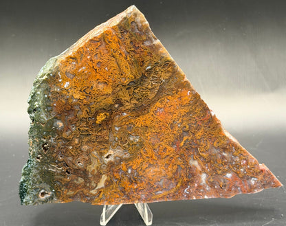 Maury Mountain Moss Agate (Unpolished) Slabs